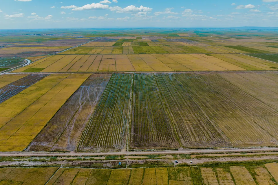 Aerial view of farmland stretching to the horizon under a blue sky.